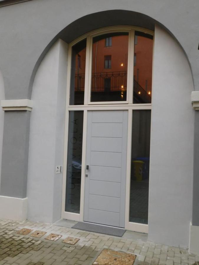 Piumaviola Beds & Apartments Πάρμα Εξωτερικό φωτογραφία
